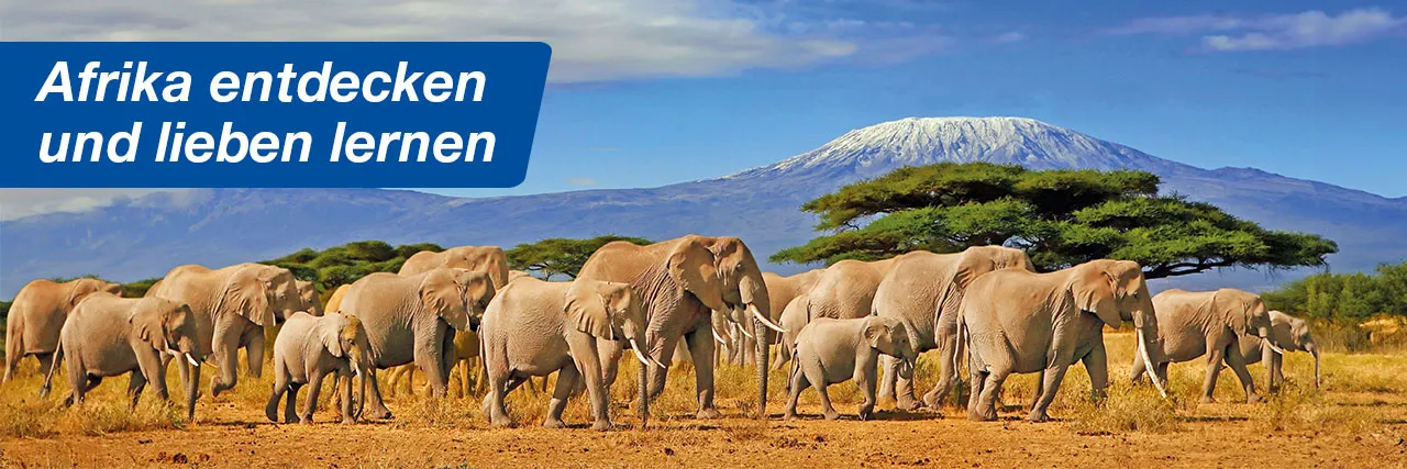 SEO-Content_LP_Header_Afrika