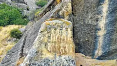 thumb image