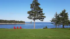 thumb image