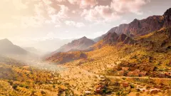 thumb image