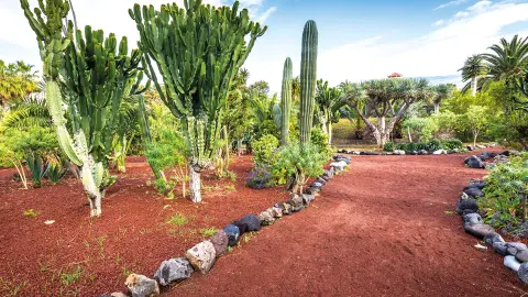 Botanischer Garten-placeholder