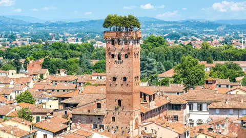 Torre Guingi, der Turm auf dem die Bäume wachsen-placeholder