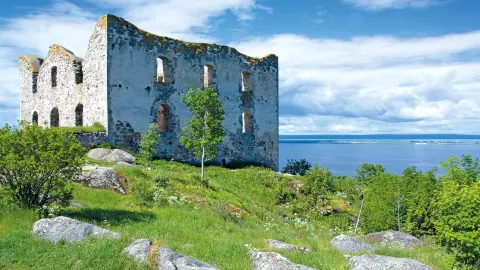 Burgruine Brahehus-placeholder