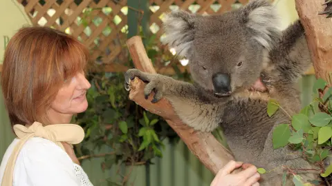 PER111_26_Australien_ausflug_1920x1080px_Featherdale-Tierpark-placeholder