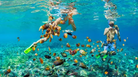 PER111_26_Australien_ausflug_1920x1080px_Great-Barrier-Reef-schnorcheln-placeholder