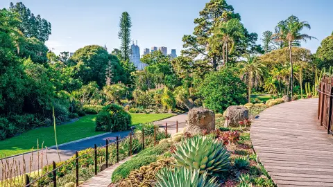 PER111_26_Australien_content_1920x1080px_Melbourne_Botanischer-Garten-placeholder