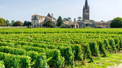 Weingebiet Saint-Émilion-placeholder